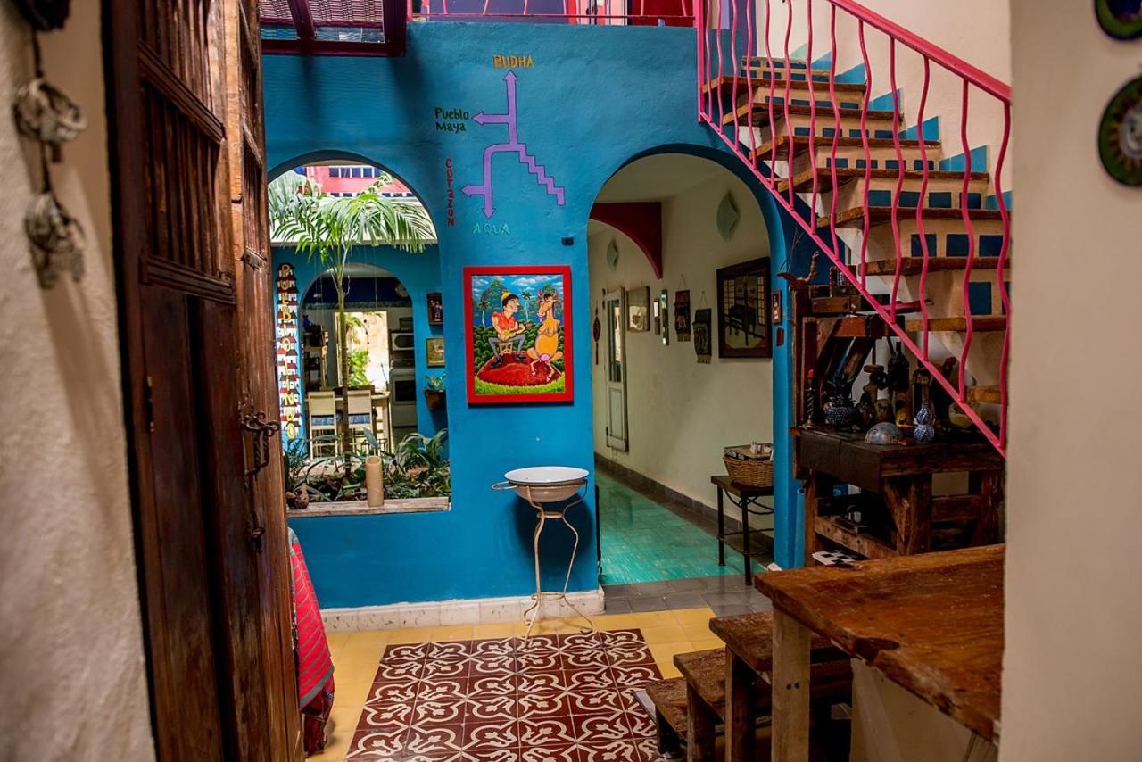 Budha By Majikal B&B Mérida Dış mekan fotoğraf