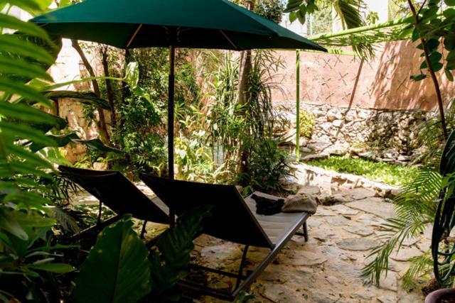 Budha By Majikal B&B Mérida Dış mekan fotoğraf