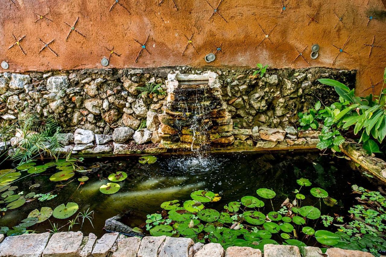 Budha By Majikal B&B Mérida Dış mekan fotoğraf
